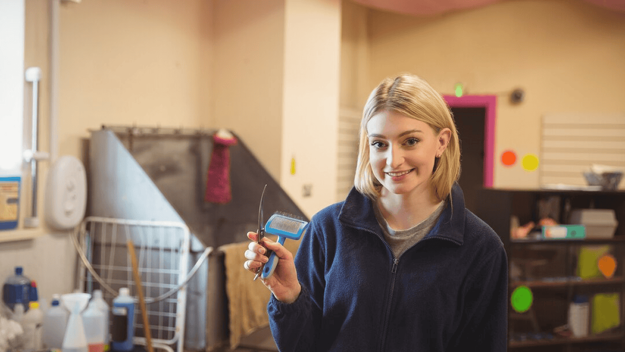 From Loans to Credit Lines: How Small Businesses Can Secure the Right Funding